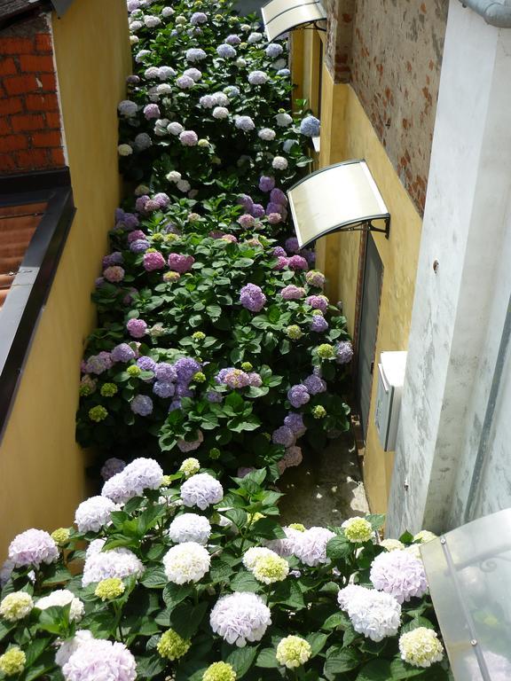 L'Adele Bed & Breakfast Occimiano Ngoại thất bức ảnh